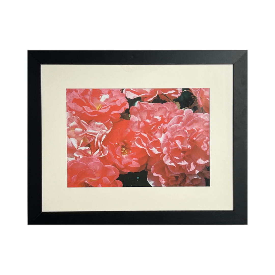 Blushing - Framed
