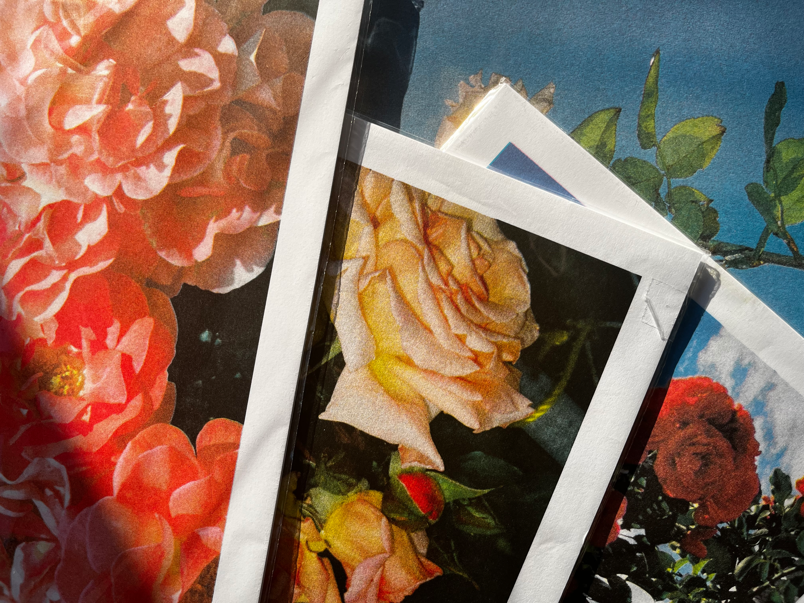 Risograph prints
