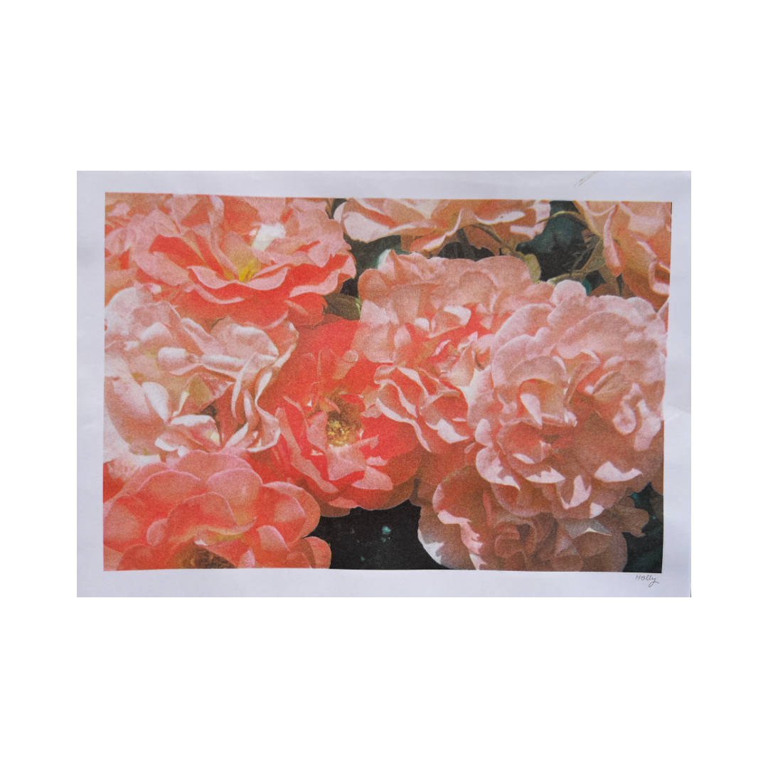 Blushing - A3 Risograph Art Print