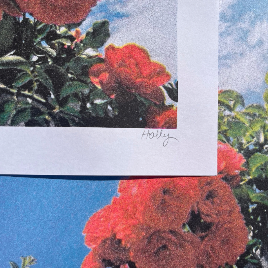 Blue Velvet - A3 Risograph Art Print