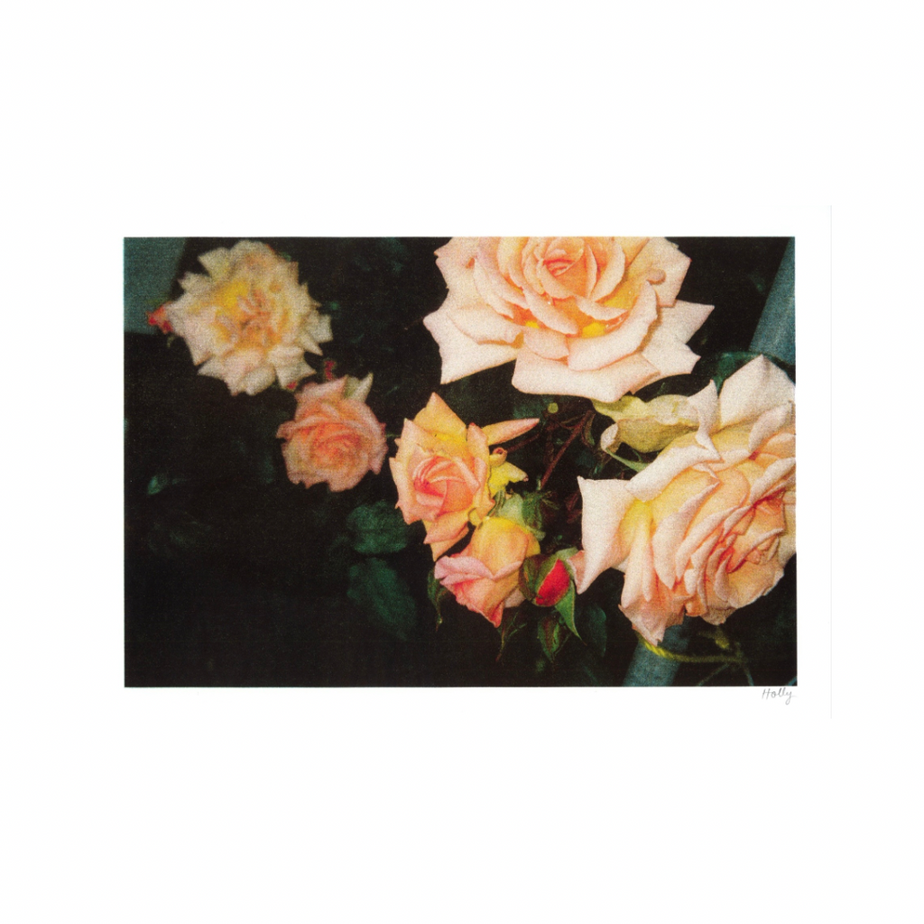 In A Flash - A3 Risograph Art Print