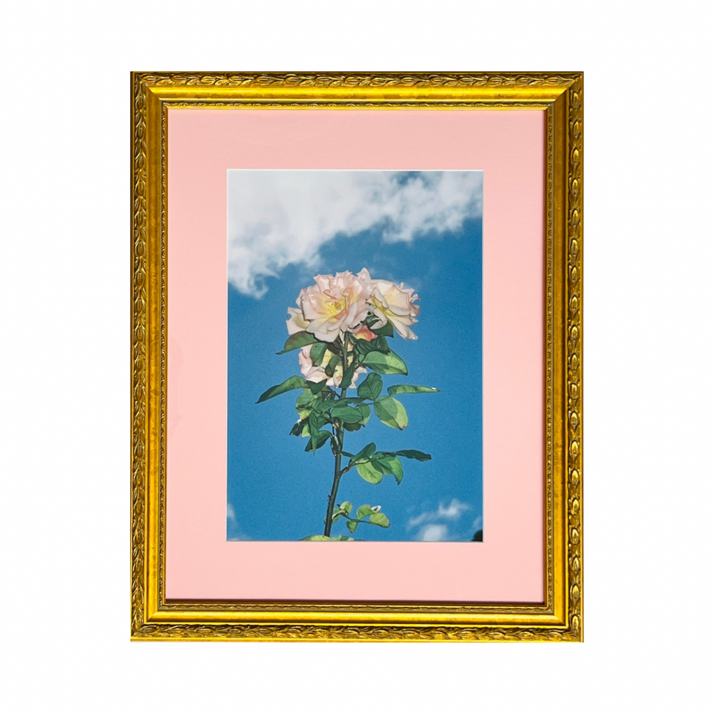 Reverence - Framed