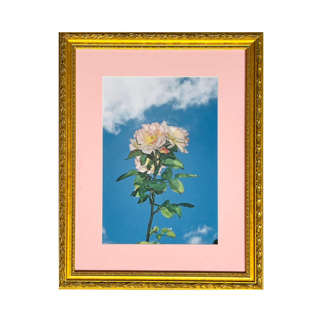 Reverence - Framed