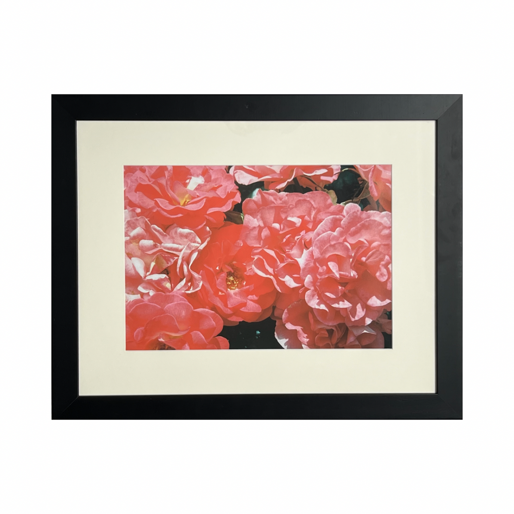 Blushing - Framed