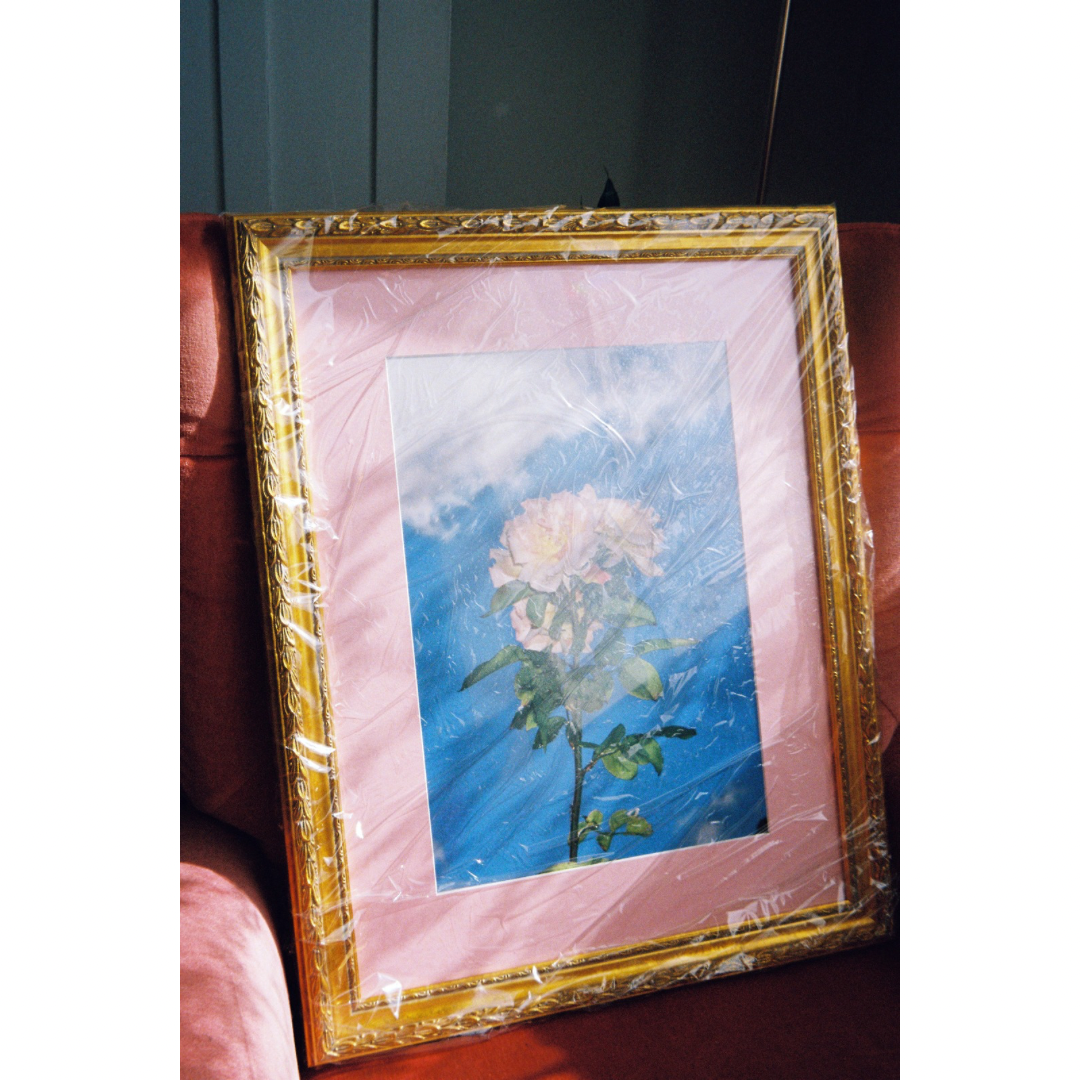 Reverence - Framed