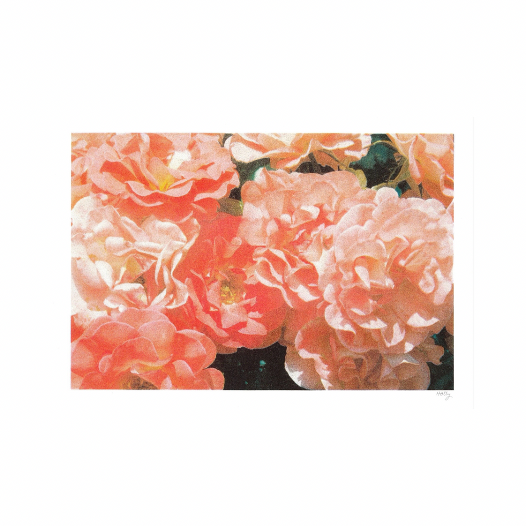 Blushing - A3 Risograph Art Print