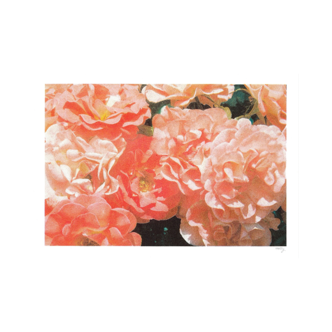 Blushing - A3 Risograph Art Print